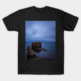 Blue Hour Pokeshaw Rock, New Brunswick Canada V1 T-Shirt